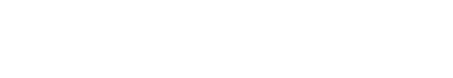 TransLingo